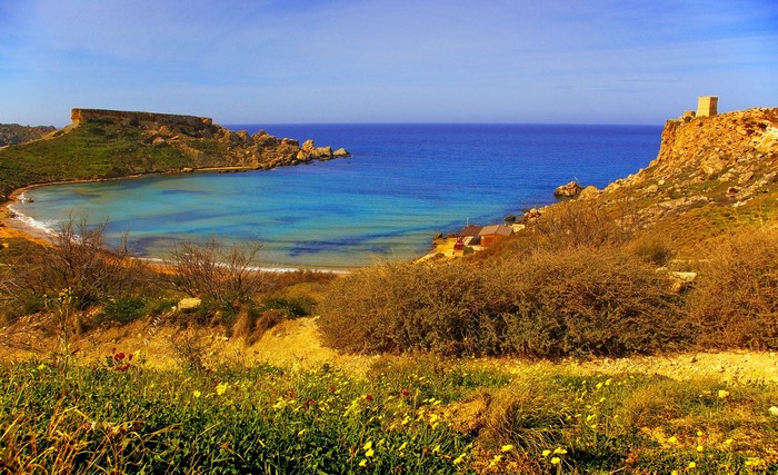 Coastline with turquoise bay and rocky cliffs in Malta