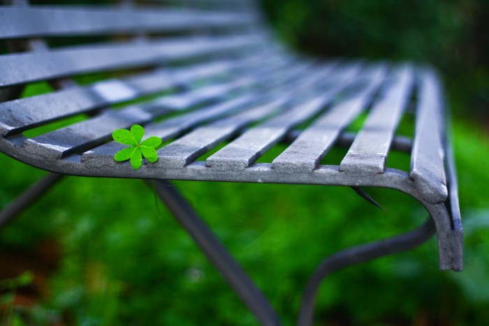 Four-leaf clover on a park bench