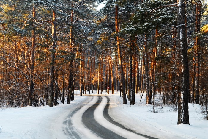 Winding road through a snow-covered forest in winter