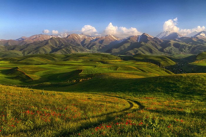 Rolling green hills and snow-capped mountains in Kyrgyzstan