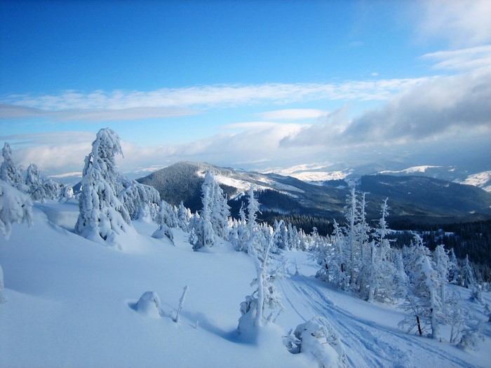 Winter scene in the Carpathian Mountains of Ukraine