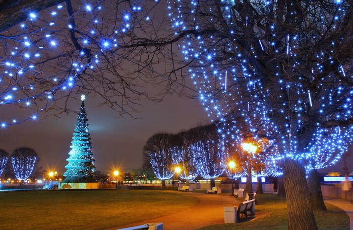 Christmas tree and trees decorated with blue fairy lights in St. Petersburg at night