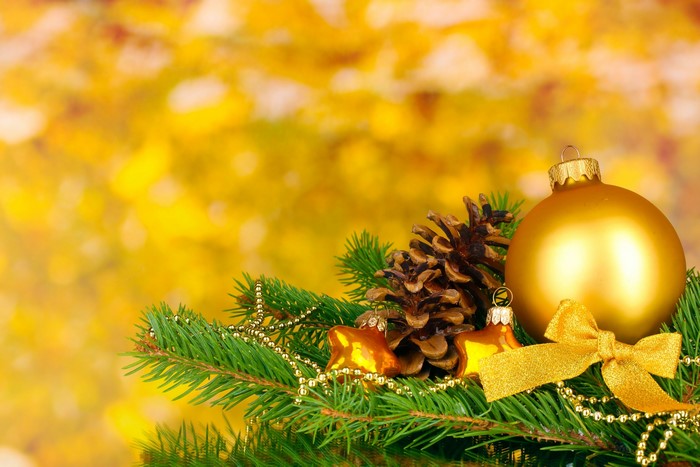 Christmas ornaments with pine cone and fir branch