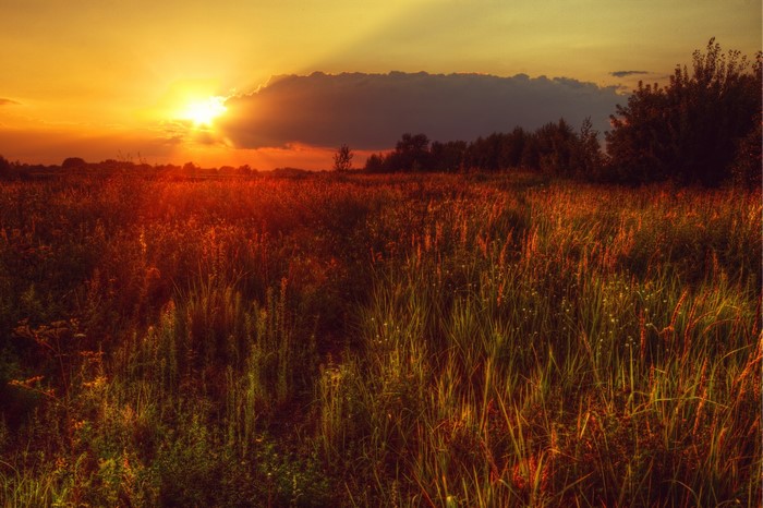 Sunset over a field in Poland