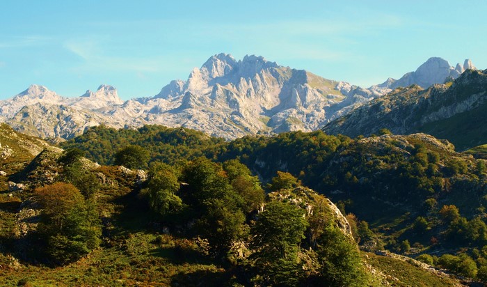 Mountain range with trees and shrubs in Asturias, Spain