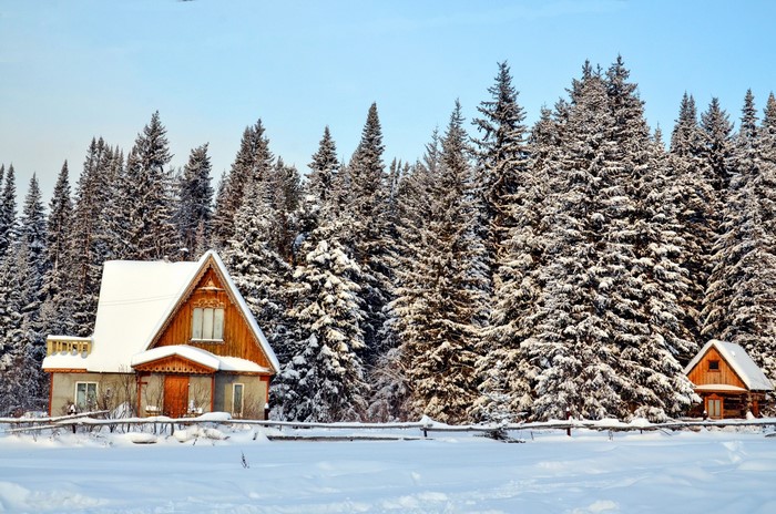 Snowy forest with houses and spruce trees