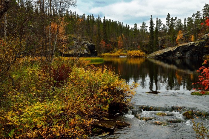 Autumn forest with a lake and stream in Lapland