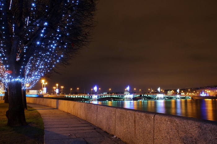 Night view of St. Petersburg with illuminated bridges and trees