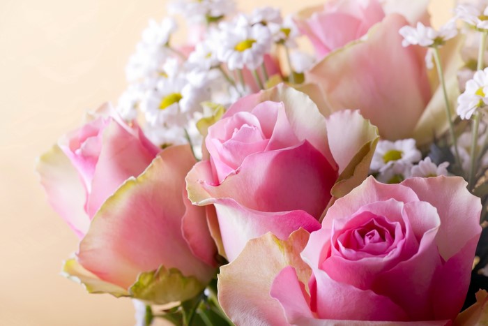 Bouquet of pink roses and camomiles