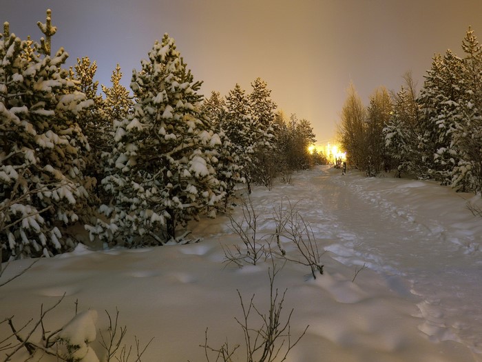 Snowy forest path at night with distant lights