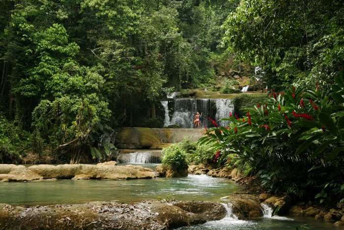 Waterfalls in Cornwall, Jamaica