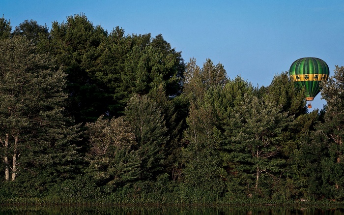 Green hot air balloon over trees