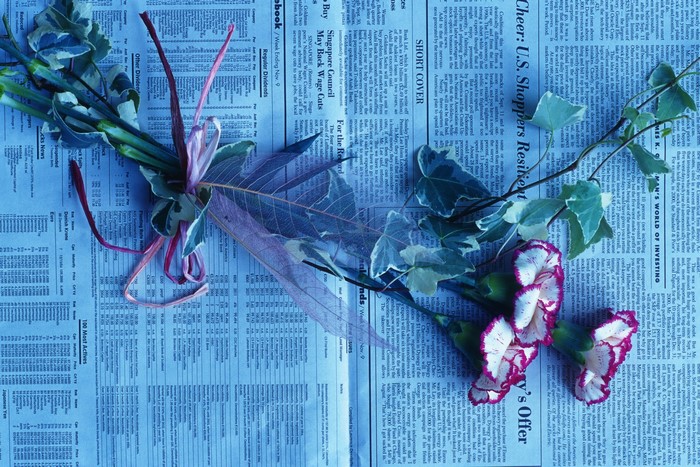 Carnations on Newspaper