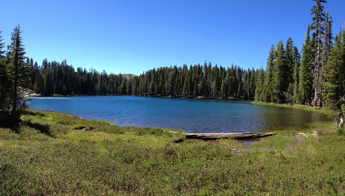 Lake surrounded by pine forest under a clear blue sky