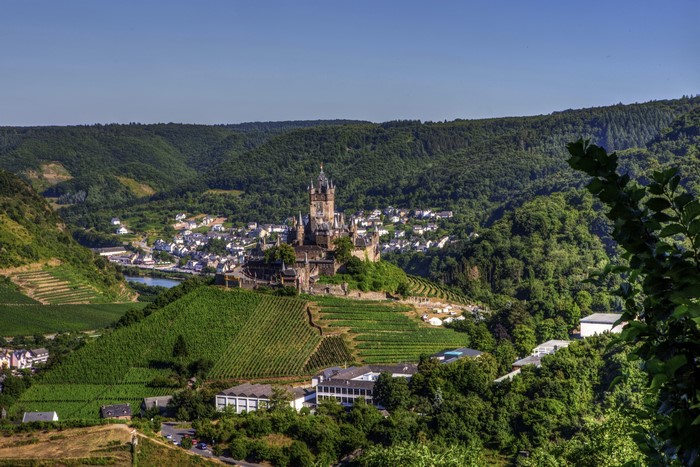 Cochem Castle and vineyards in Germany from above