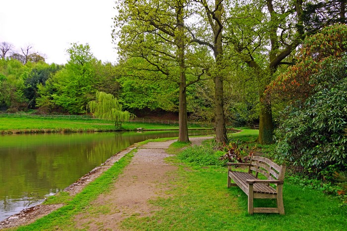 Park with Pond, Grass, and Bench in England