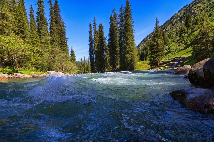 River flowing through a forest in Kyrgyzstan
