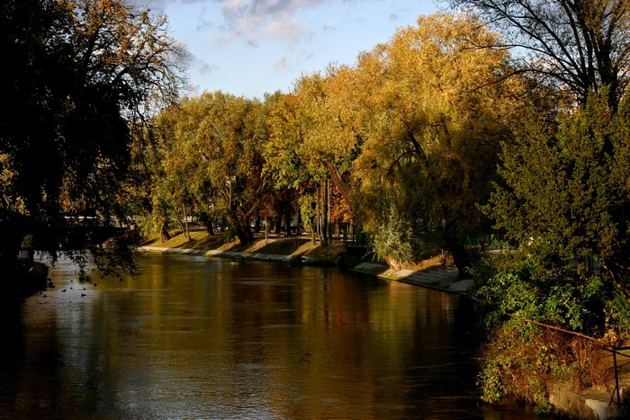 River and trees in autumn in Bydgoszcz, Poland