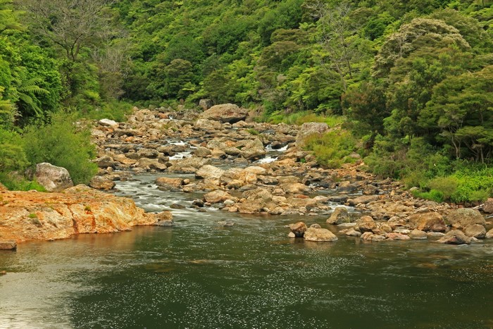 River flowing through a rocky forest in New Zealand