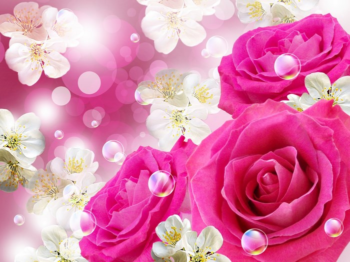 Pink Roses and White Flowers with Bubbles