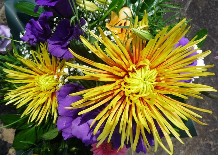 Yellow spider dahlias and purple eustoma flowers in a bouquet