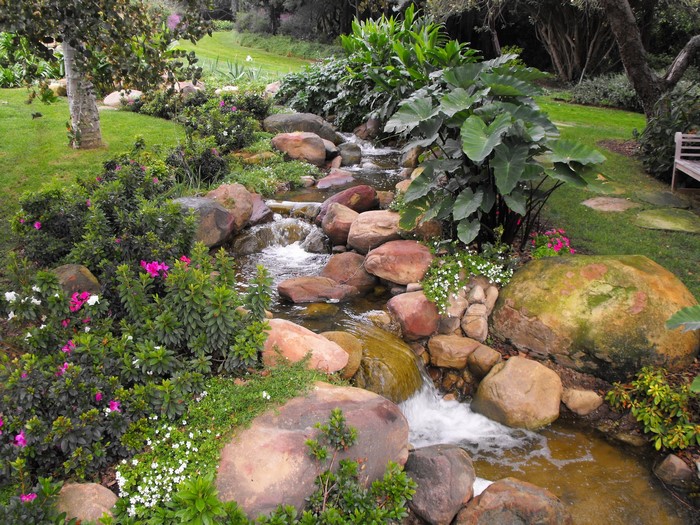 Garden stream with rocks and flowers