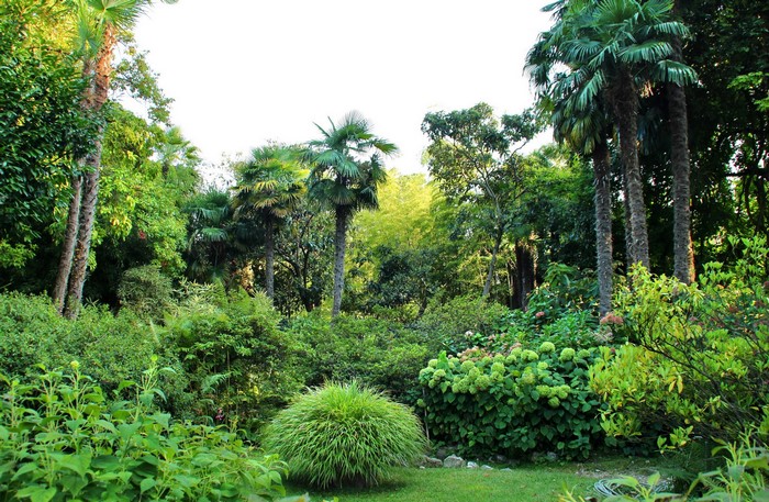 Gardone Riviera park with palm trees and shrubs