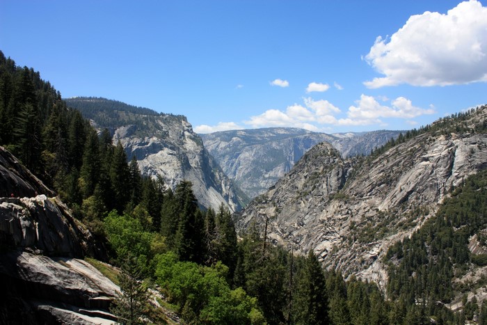 Yosemite National Park, California Mountains and Forests