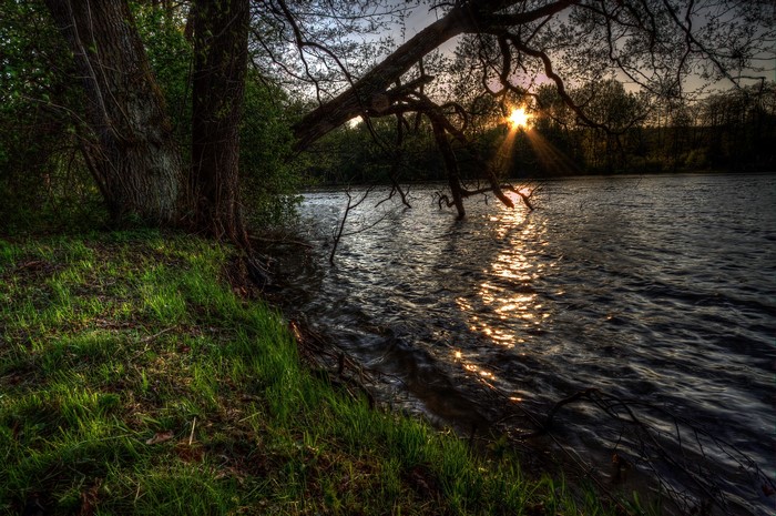 River at sunset with trees and grass in Dadaj, Poland
