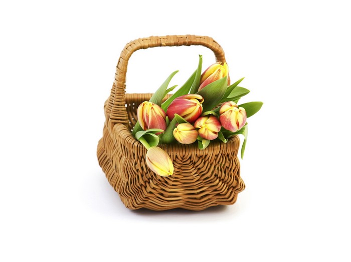 Wicker basket with red and yellow tulips