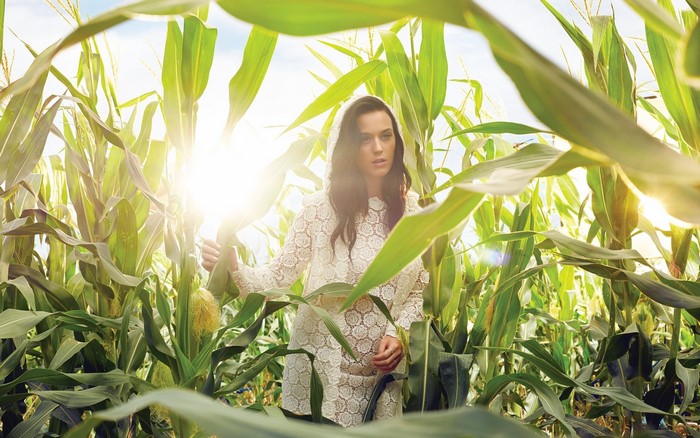 Katy Perry in a cornfield