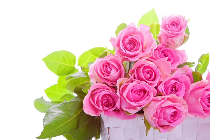Pink Roses in a Basket