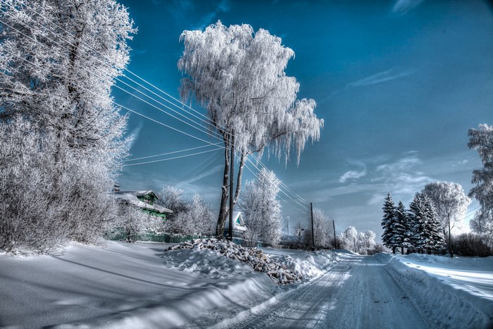 Winter scene with snow-covered trees and road