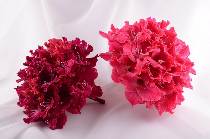 Two gladiolus bouquets on white fabric