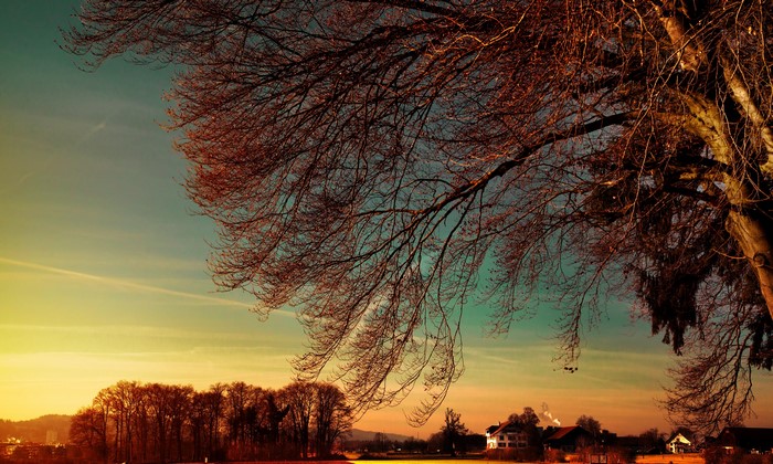 Bare tree branches against a sunset sky over a village