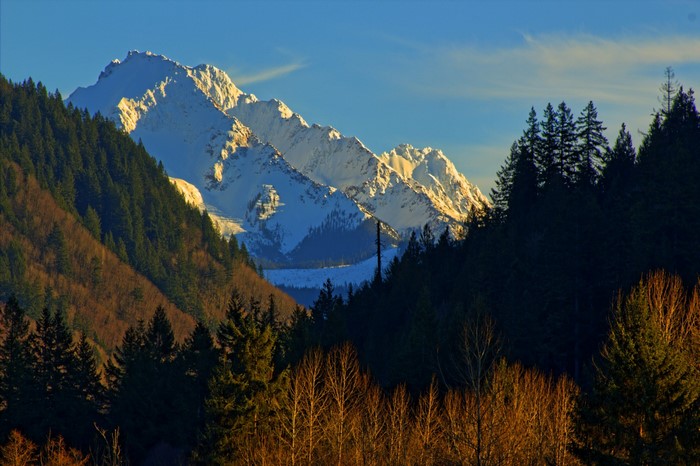 Snow-capped mountains in Washington, USA, with evergreen forests