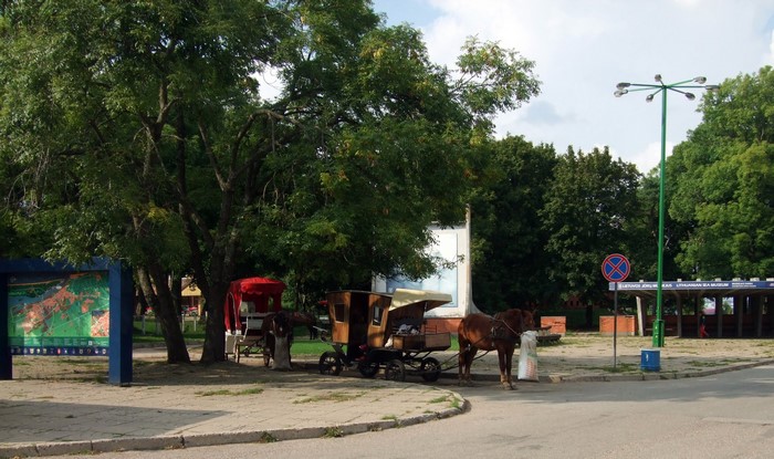 Horse-drawn carriages in a park in Klaipeda, Lithuania