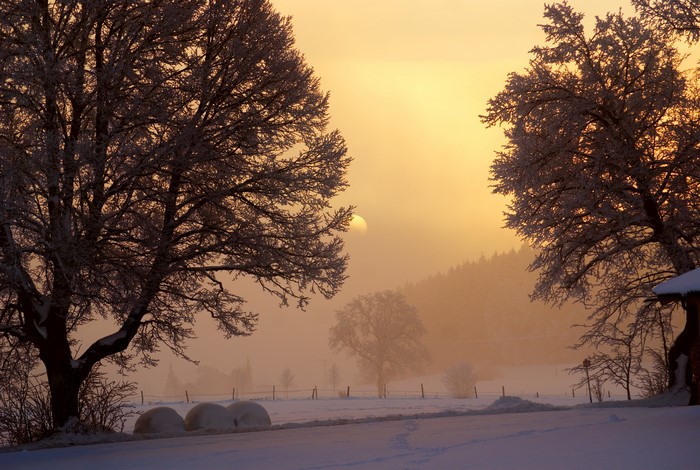 Winter sunrise with frosted trees and snow-covered fields