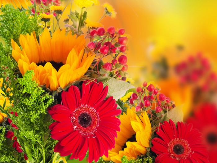 4K Gerberas Red Flowers
