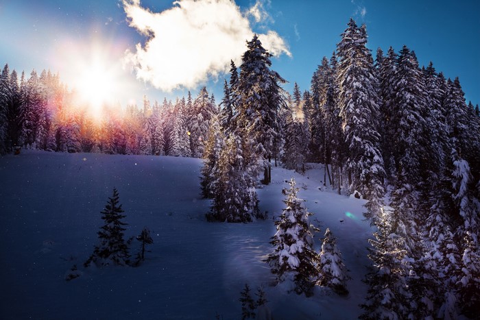 Snowy forest with sunbeams and clouds