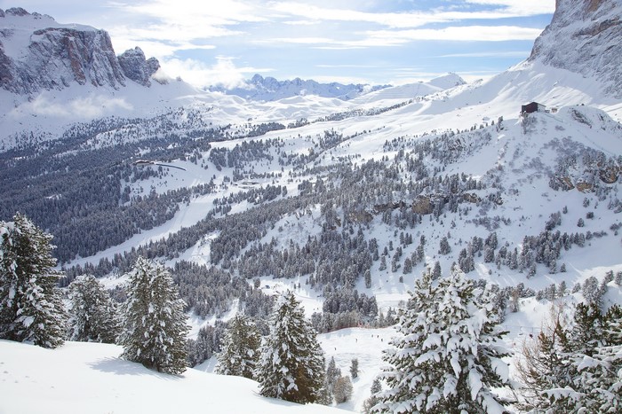 Snowy mountains with pine trees and ski slopes