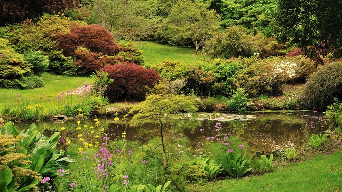 Exbury Gardens Pond with Shrubs and Flowers in England