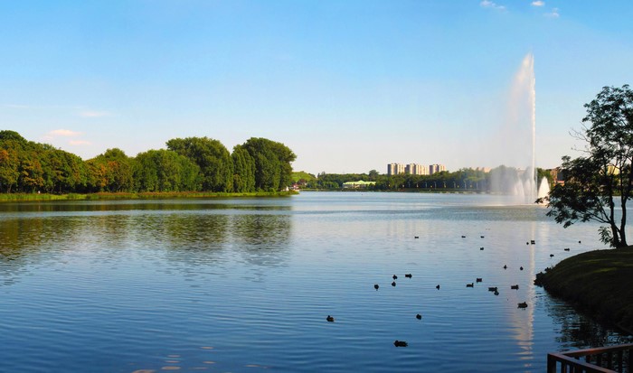 Lake with fountain and trees in Poznan, Poland