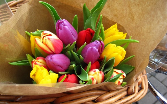 Bouquet of colorful tulips in a basket
