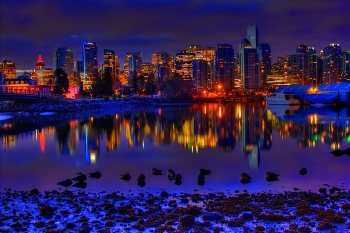 Vancouver skyline at night reflected in water with birds