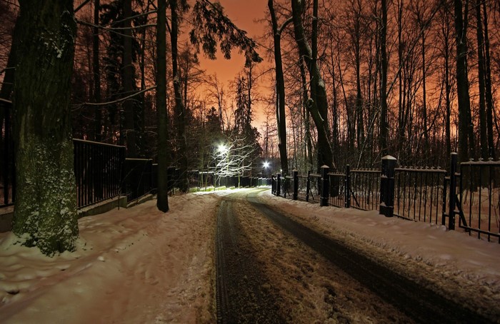 Winter road in a snowy park at night