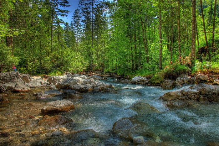 River flowing through a forest in Bavaria, Germany