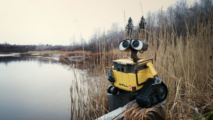 WALL·E toy by a lake with reeds