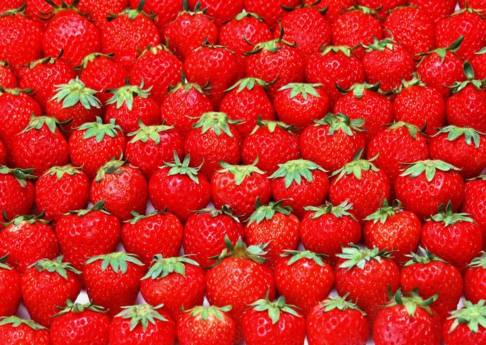 A close-up view of many ripe strawberries