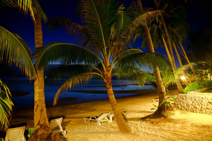 Palm trees on a beach at night in Koh Samui, Thailand